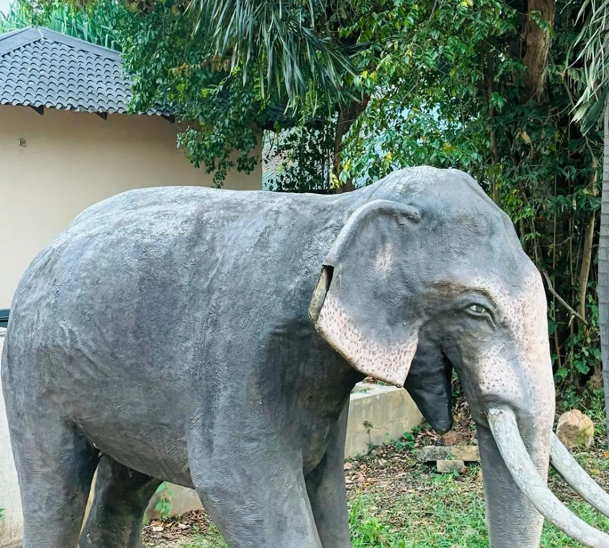 Ceylonisigiriya Hotel Dambulla