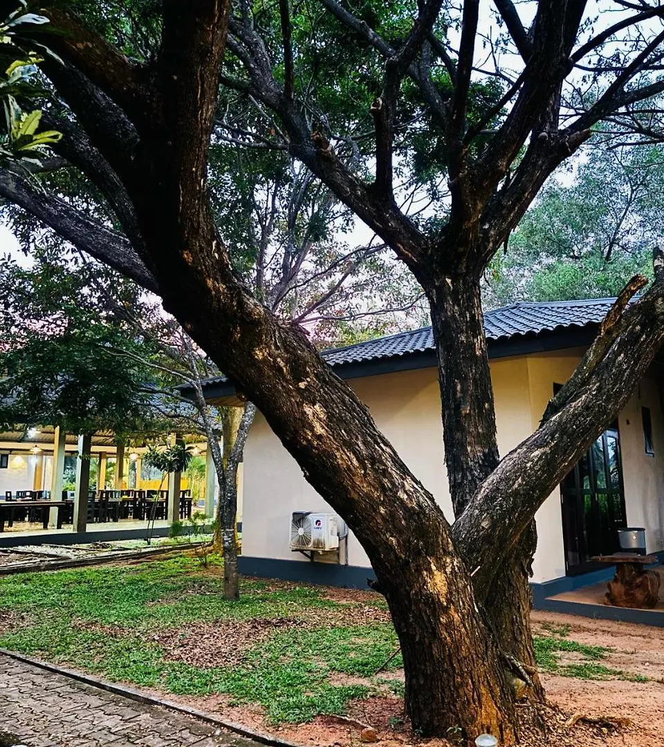 Ceylonisigiriya Hotel Dambulla