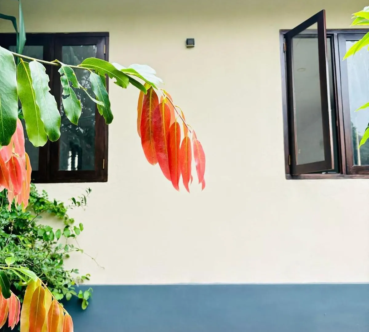 Ceylonisigiriya Hotel Dambulla