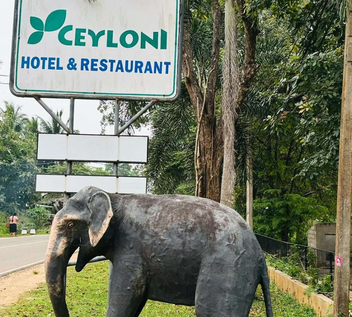 Ceylonisigiriya Hotel Dambulla